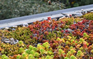 the cost of Skinners Bottom green roof installation