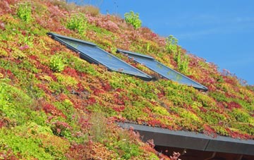 Skinners Bottom living roof systems